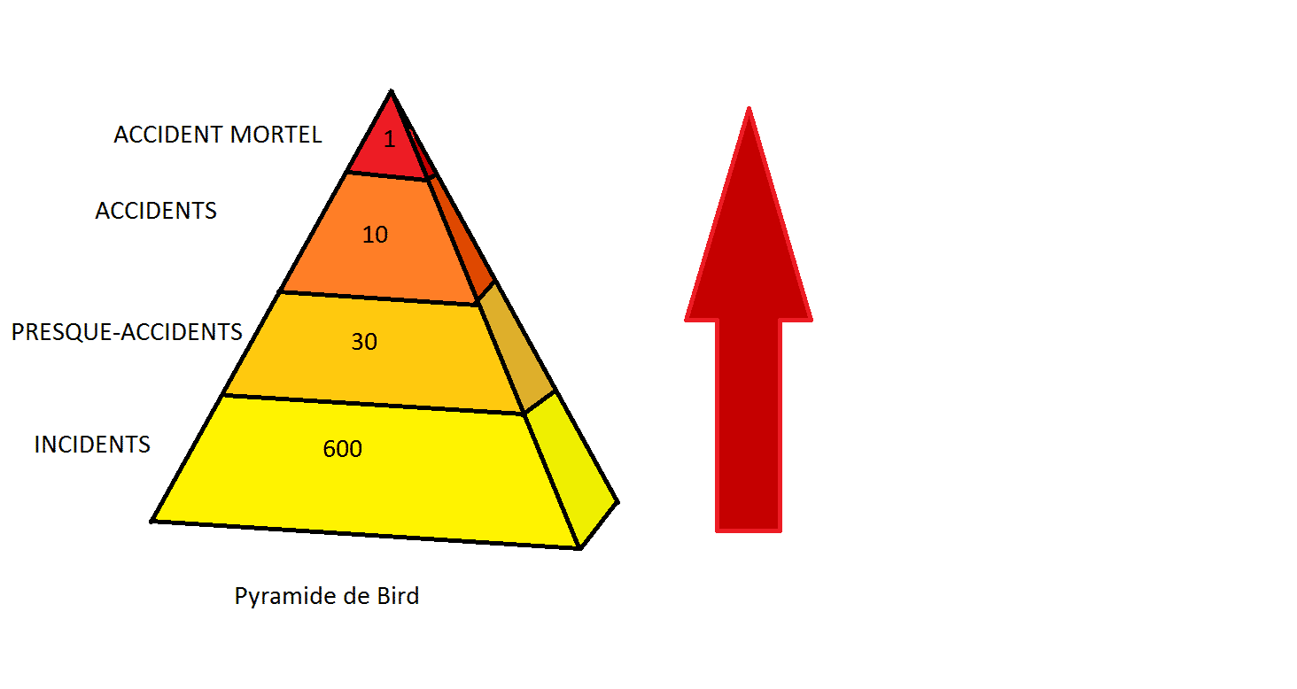 Illustration de la Pyramide de Bird